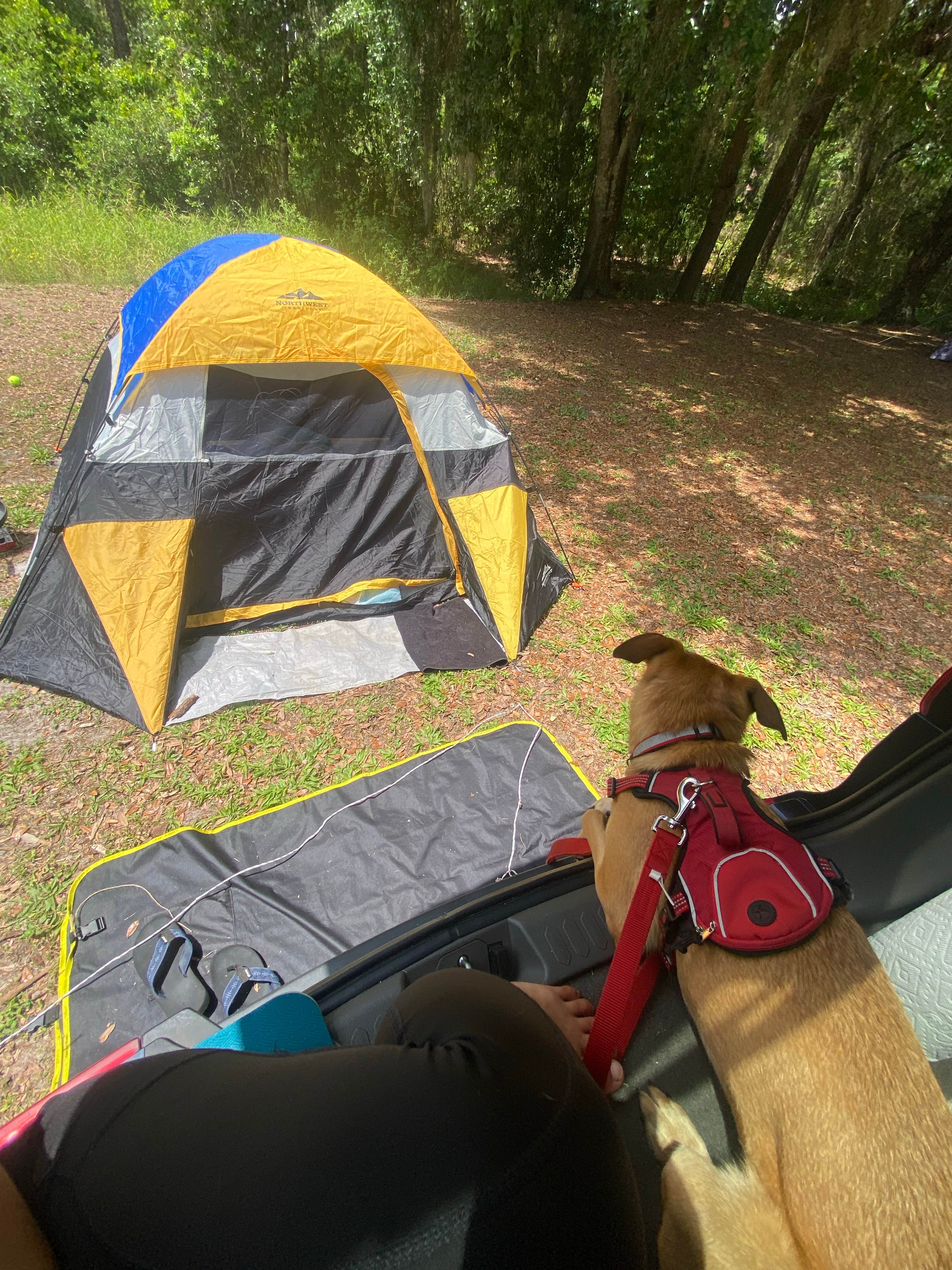 Camping near The Harbor Waterfront Resort: Lake Rosalie Campground, Lakeshore, Florida