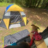 Review photo of Lake Rosalie Campground by Montero Santiago J., April 19, 2022