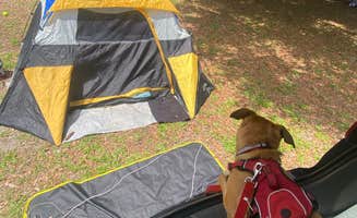 Montero Santiago J.'s photo at Lake Rosalie Campground near Lake Wales, FL