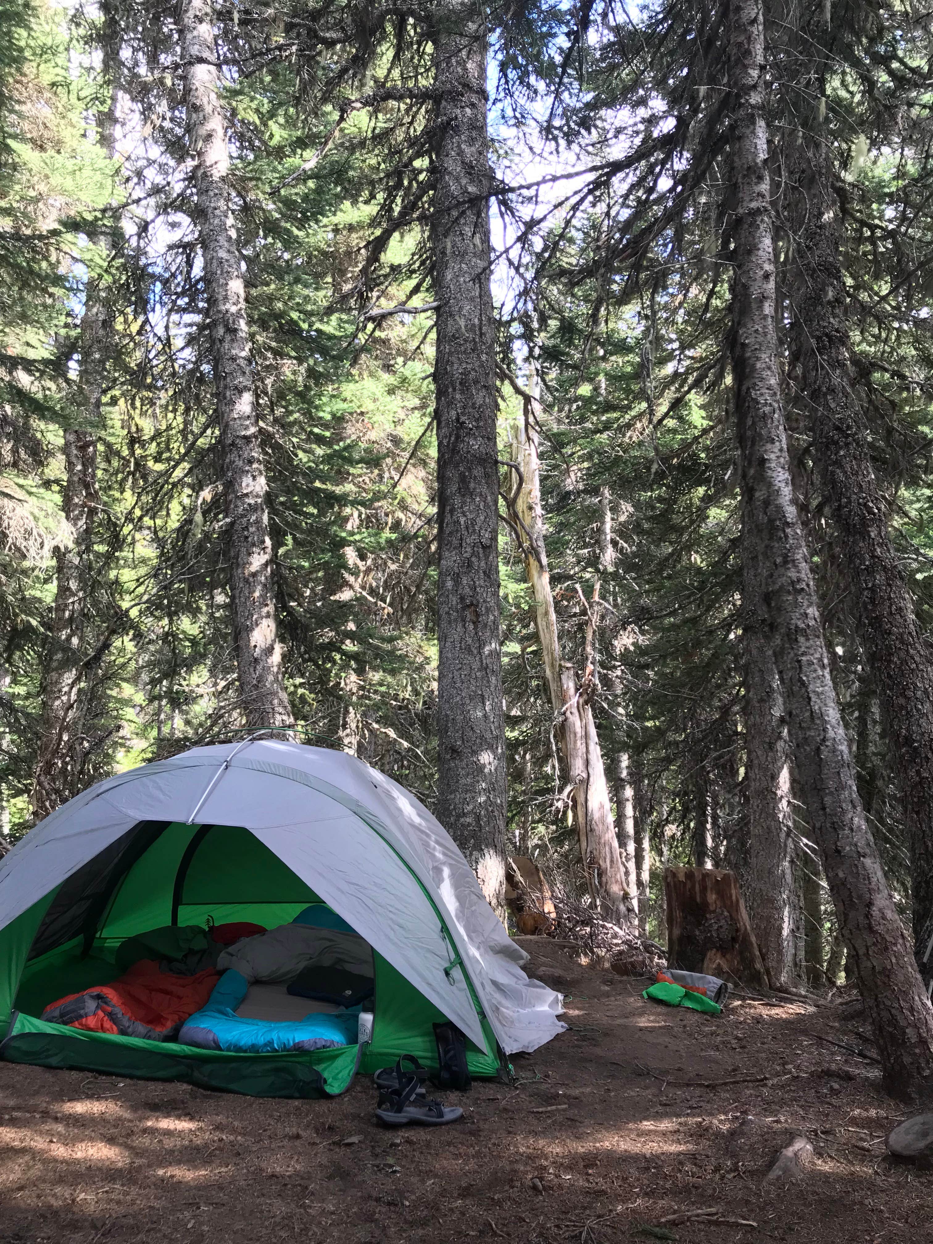breana S.'s photo of tent camping at Granite Creek Camp — Mount Rainier National Park near Lake Tapps, WA