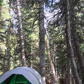 Review photo of Granite Creek Camp — Mount Rainier National Park by breana S., July 12, 2018