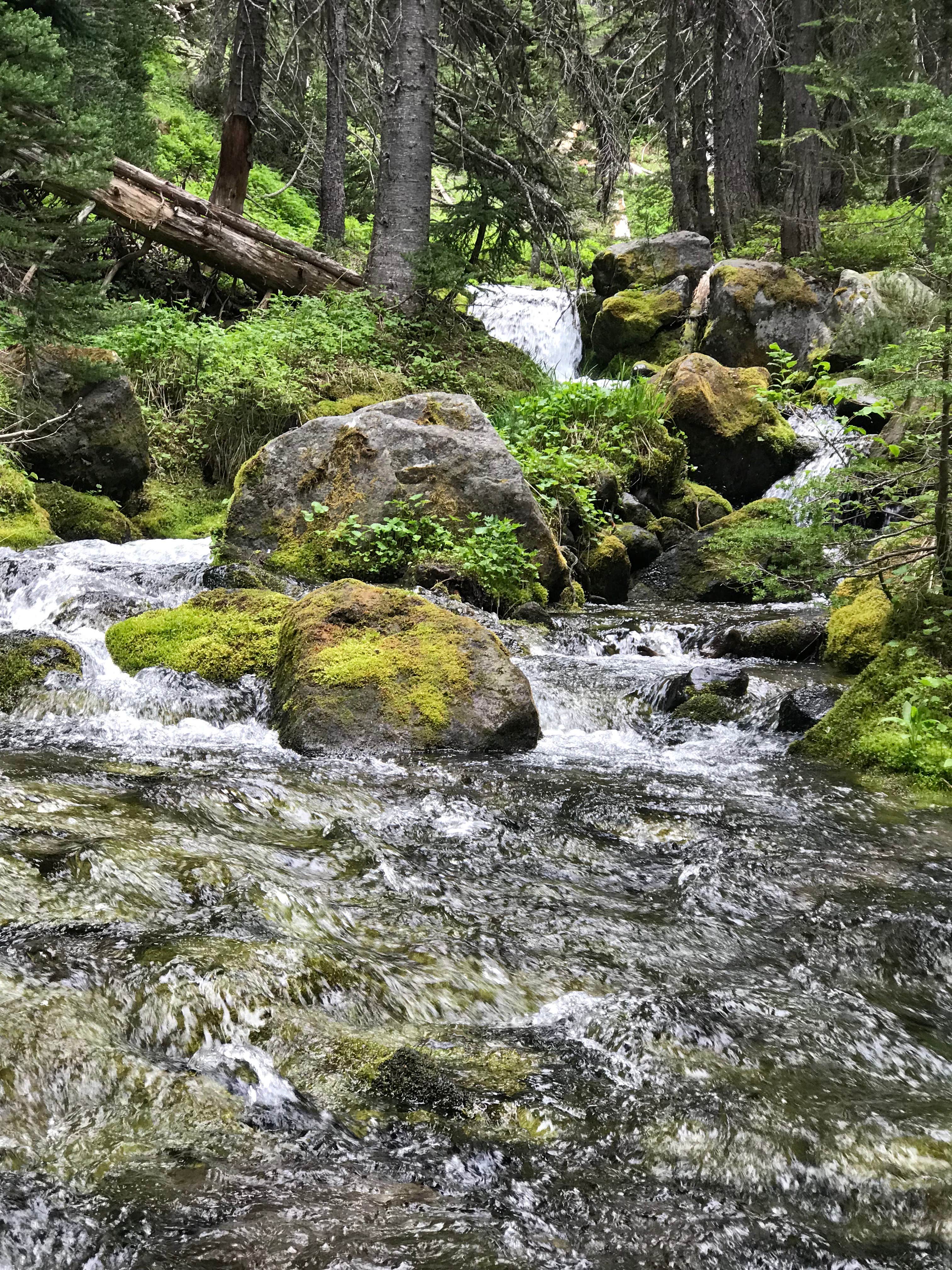 Camper submitted image from Granite Creek Camp — Mount Rainier National Park - 3