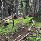 Review photo of Granite Creek Camp — Mount Rainier National Park by breana S., July 12, 2018