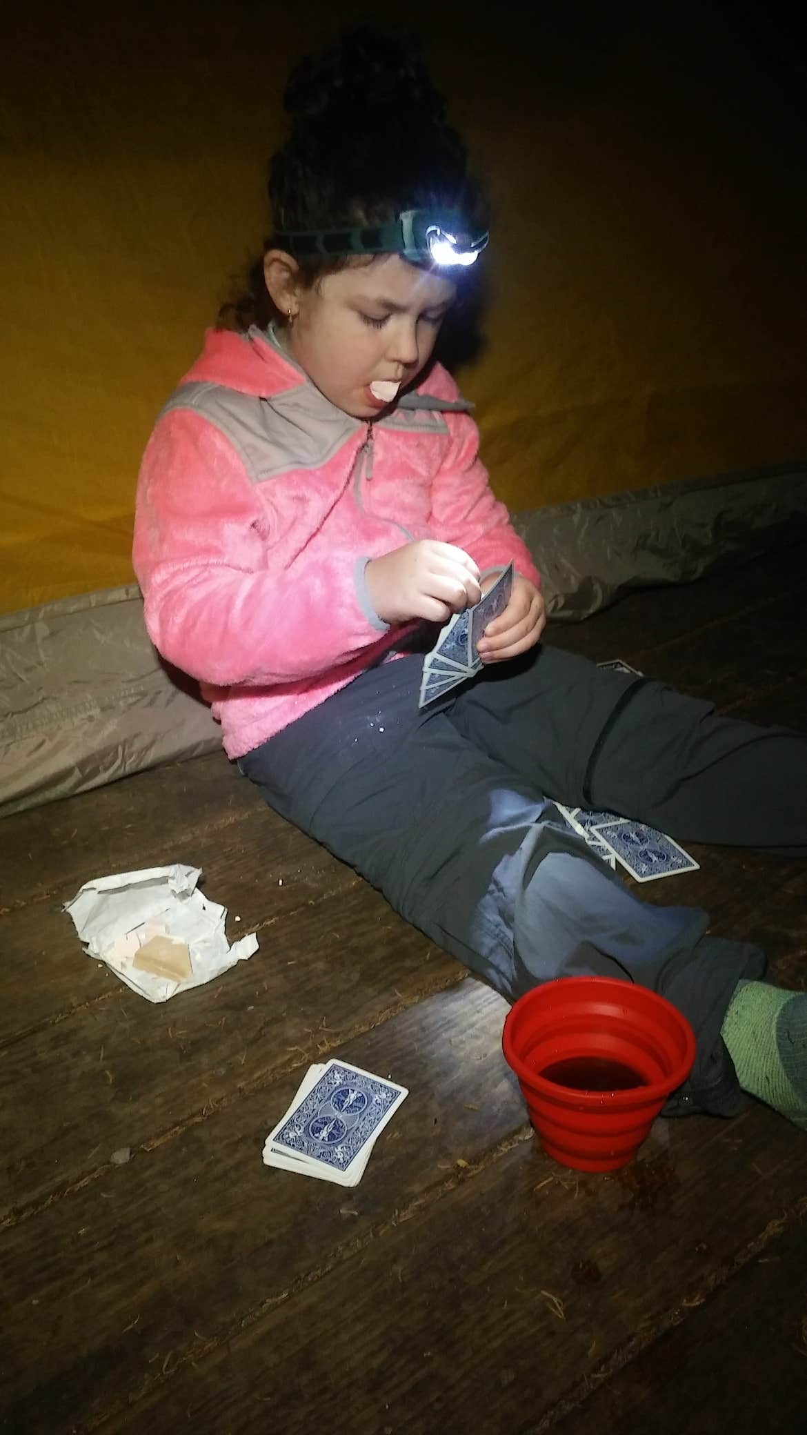 Camper-submitted photo at Nauman Tentsite near Eaton Center, NH