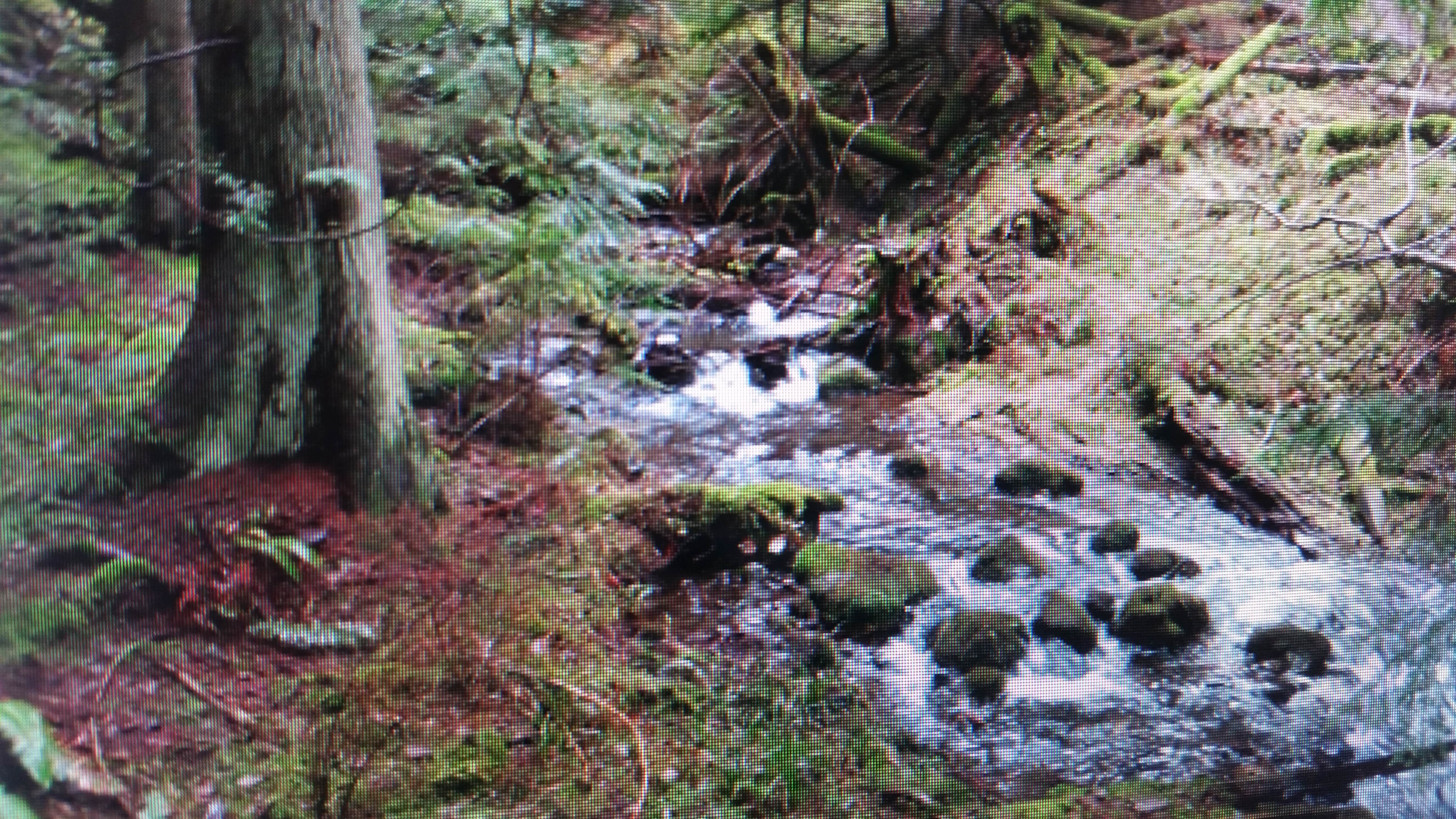 Camper-submitted photo at Southend Campground — Moran State Park near Nooksack, WA