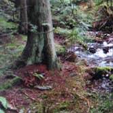 Review photo of Southend Campground — Moran State Park by Jessica M., July 25, 2016