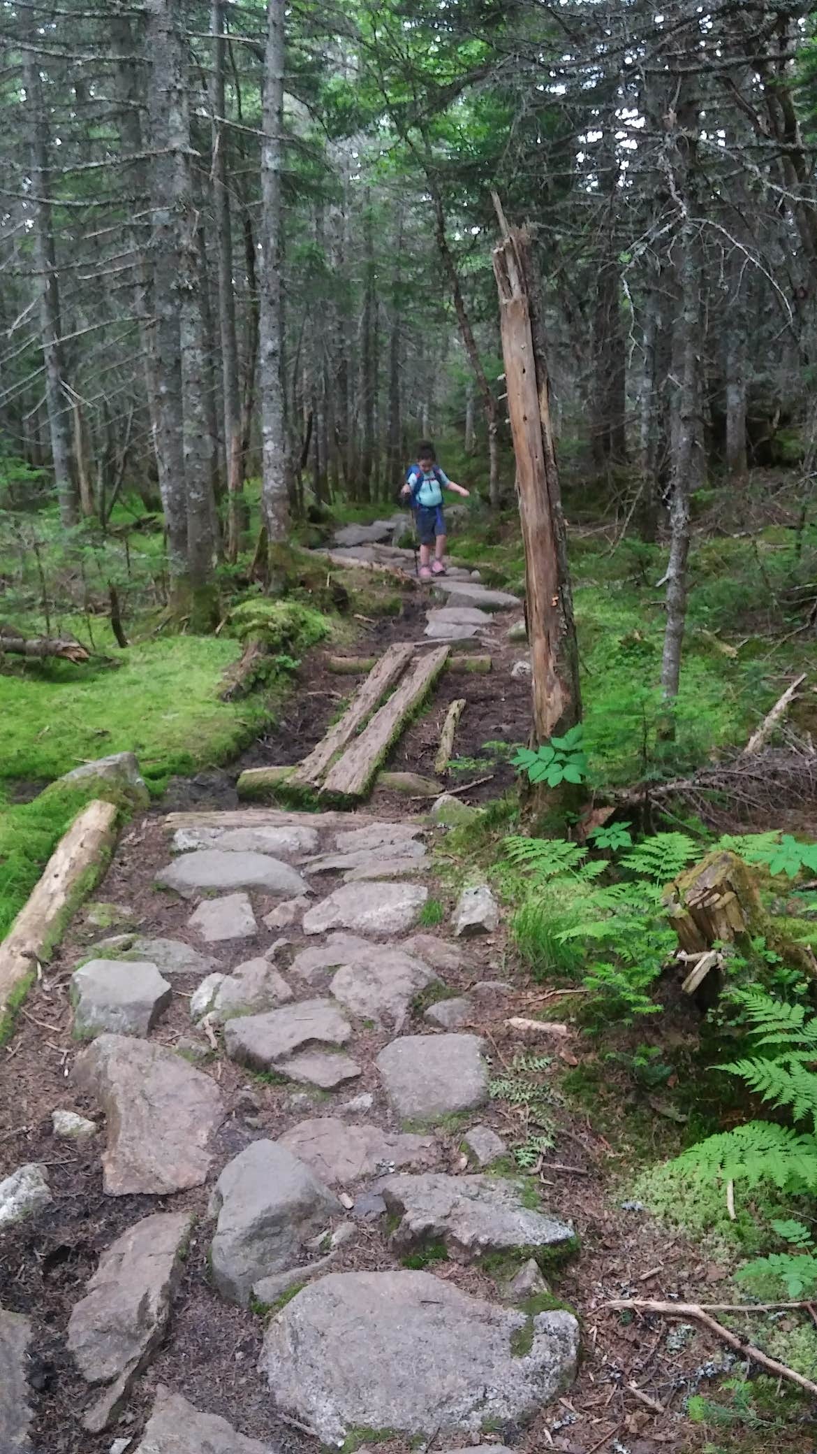 Camper-submitted photo at Nauman Tentsite near Eaton Center, NH