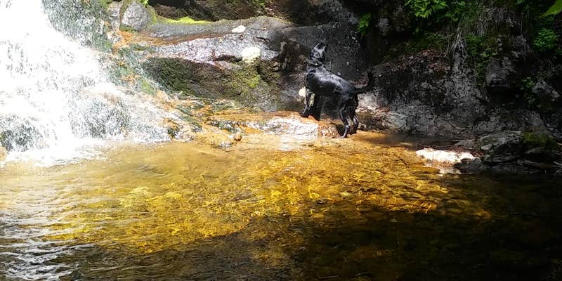 Camper submitted image from Nauman Tentsite