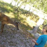 Review photo of Moss Park Campground by Jenny K., July 12, 2018