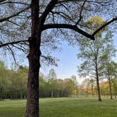 Review photo of Village Creek State Park Campground by Katie B., April 19, 2022