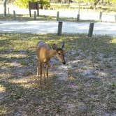 Review photo of Moss Park Campground by Jenny K., July 12, 2018