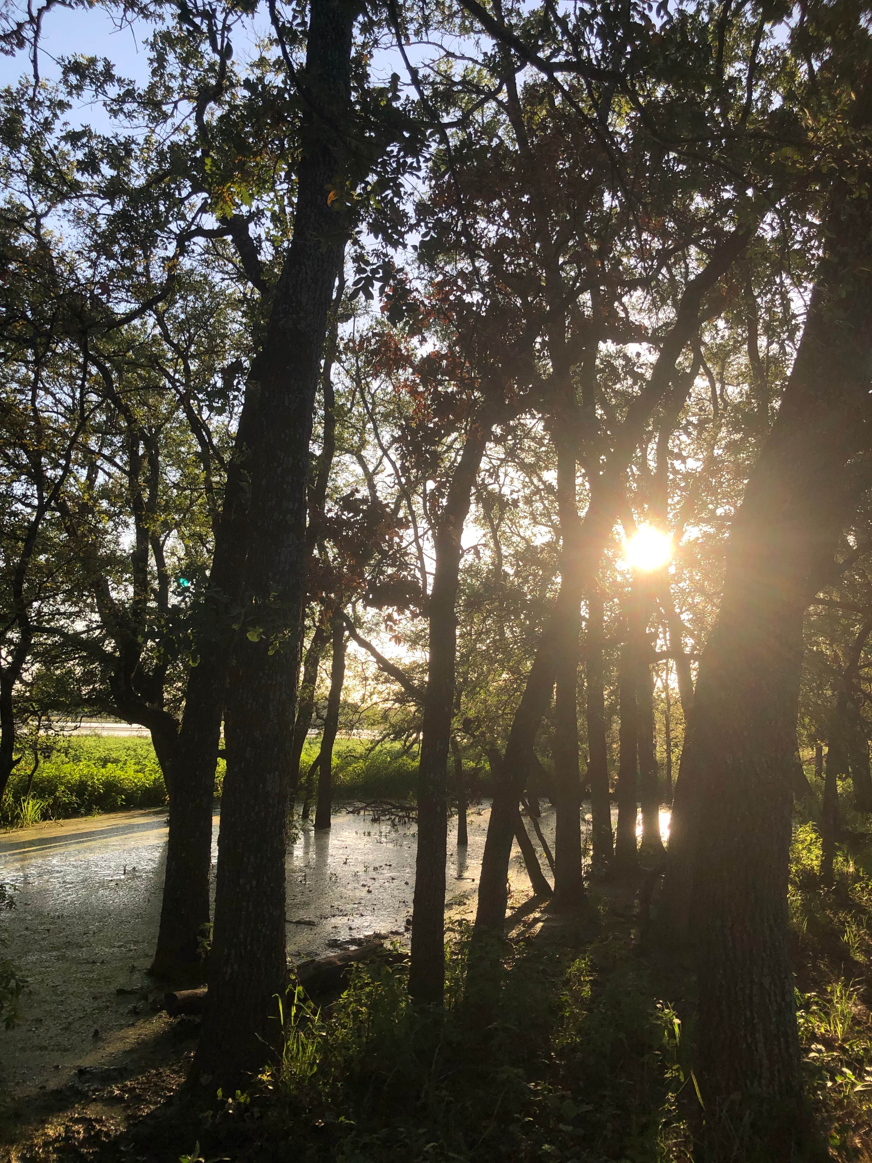 Camper-submitted photo at Sand Creek Campground near Moody, TX