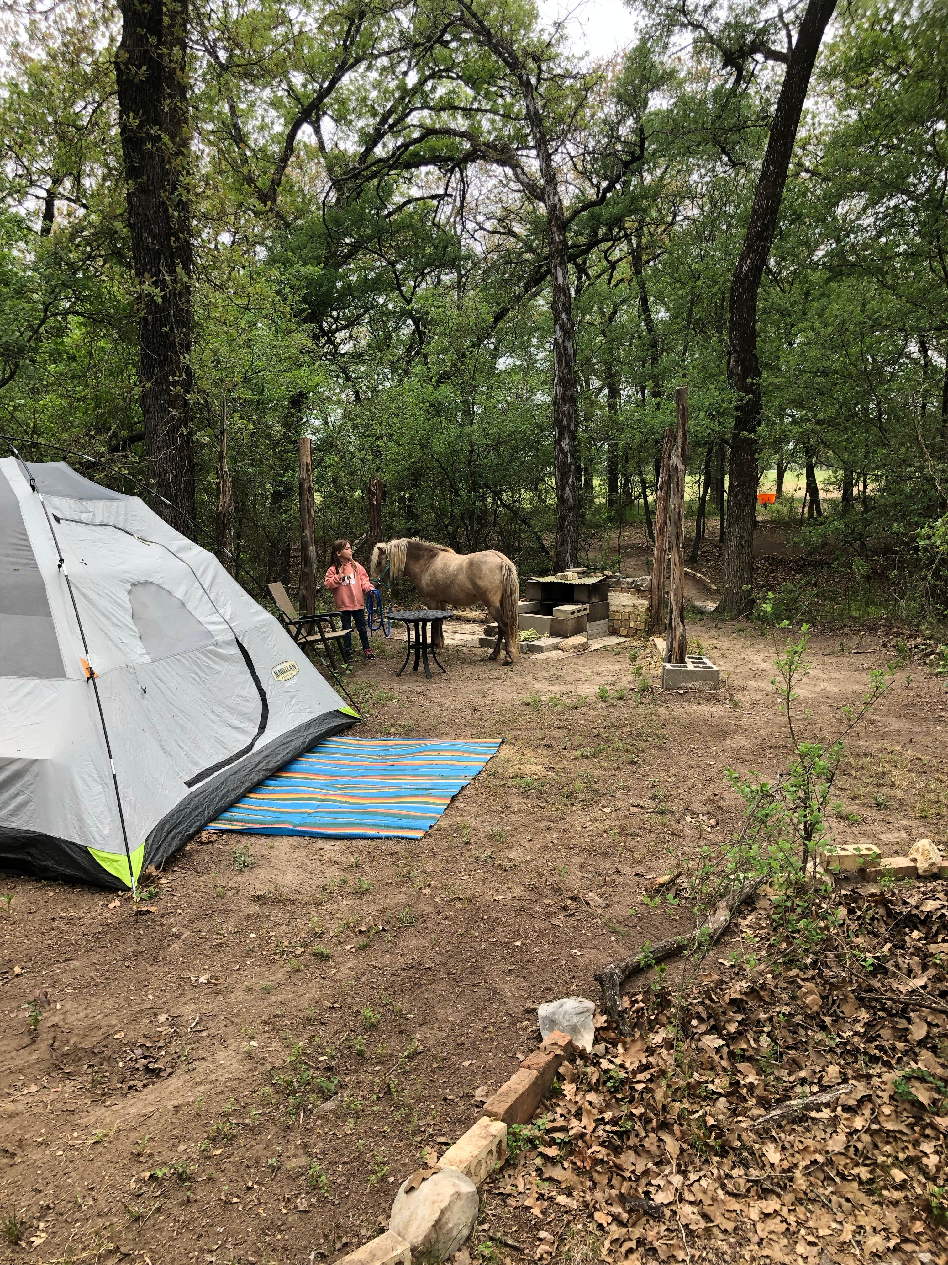 Camper submitted image from Sand Creek Campground - 1