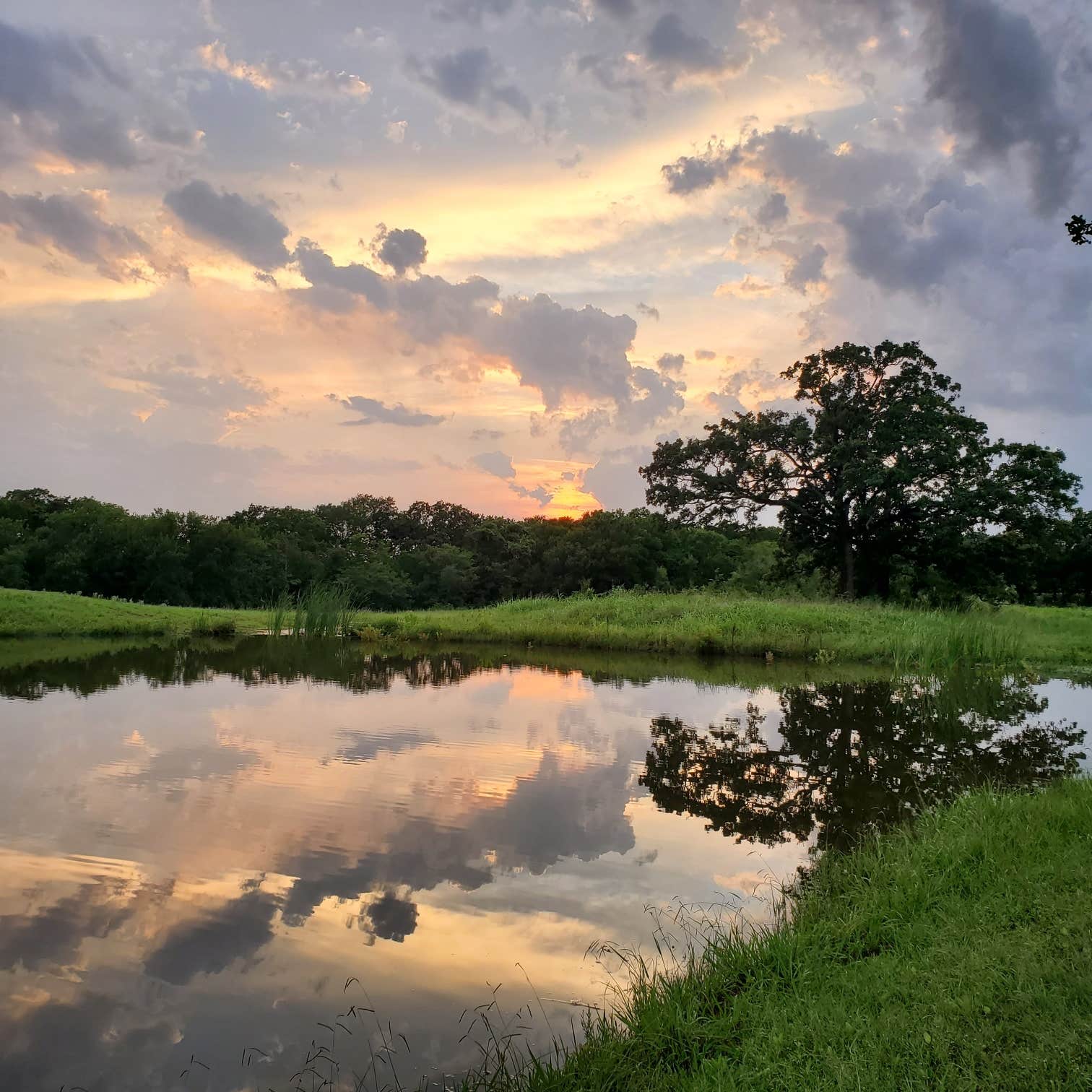 Camper submitted image from Sand Creek Campground - 3