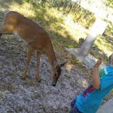 Review photo of Moss Park Campground by Jenny K., July 12, 2018