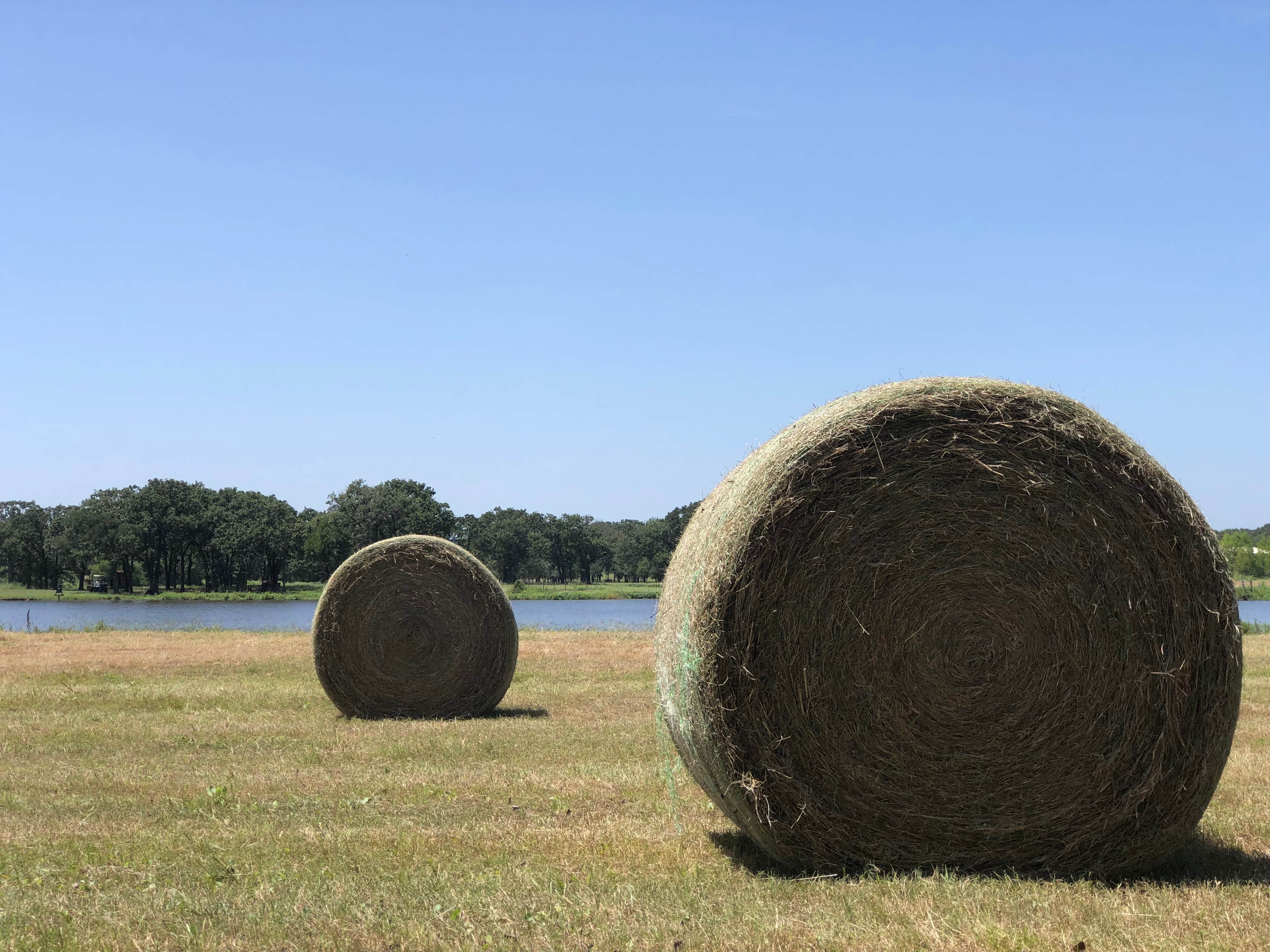 Camper-submitted photo at Sand Creek Campground near Moody, TX