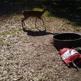 Review photo of Moss Park Campground by Jenny K., July 12, 2018