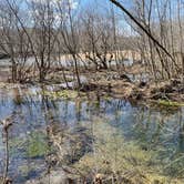 Review photo of Courtois Creek Dispersed by Pat F., April 7, 2022