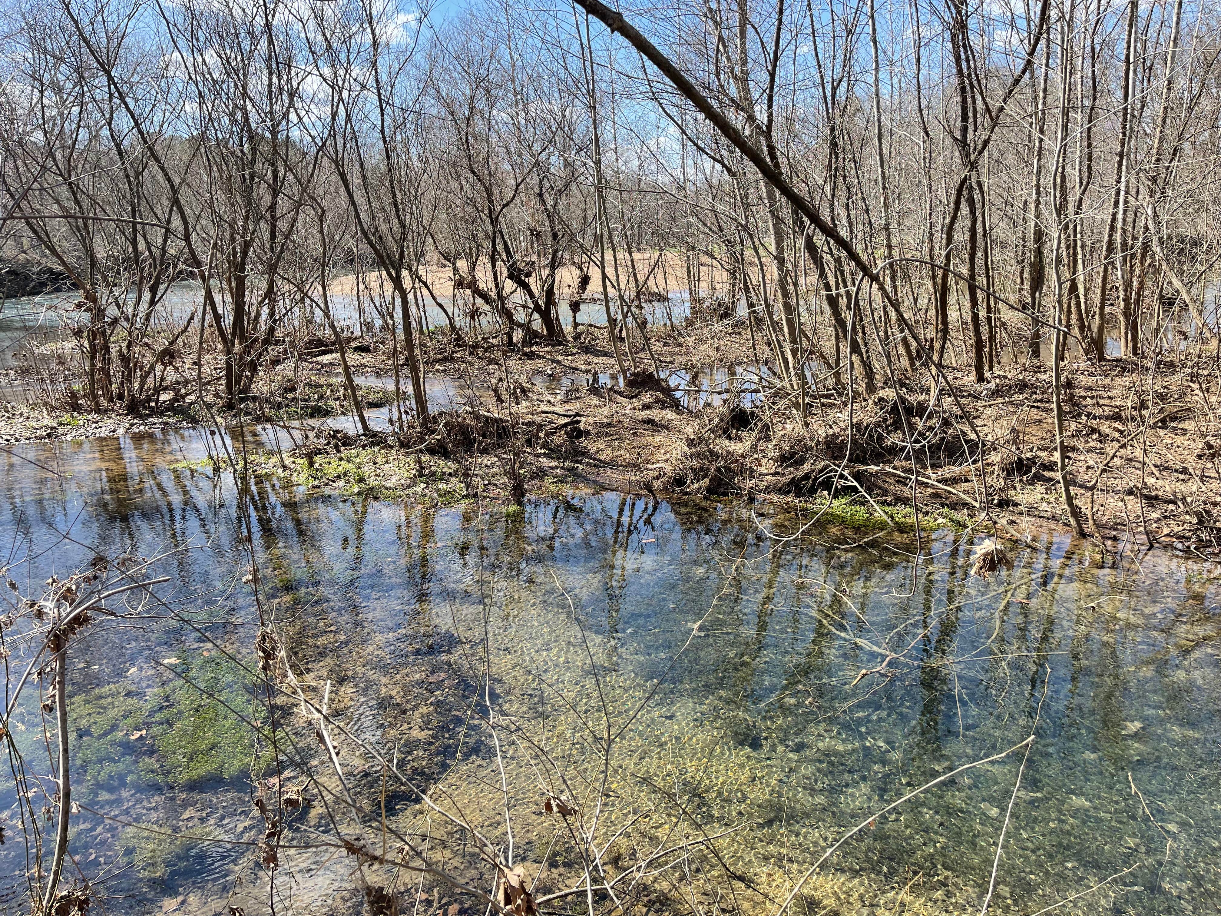 Camper submitted image from Courtois Creek Dispersed - 4