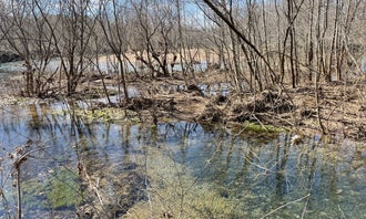 Courtois Creek  Dispersed
