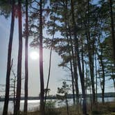 Review photo of Horseshoe Bend Rec Area & Campground by Ty S., April 19, 2022