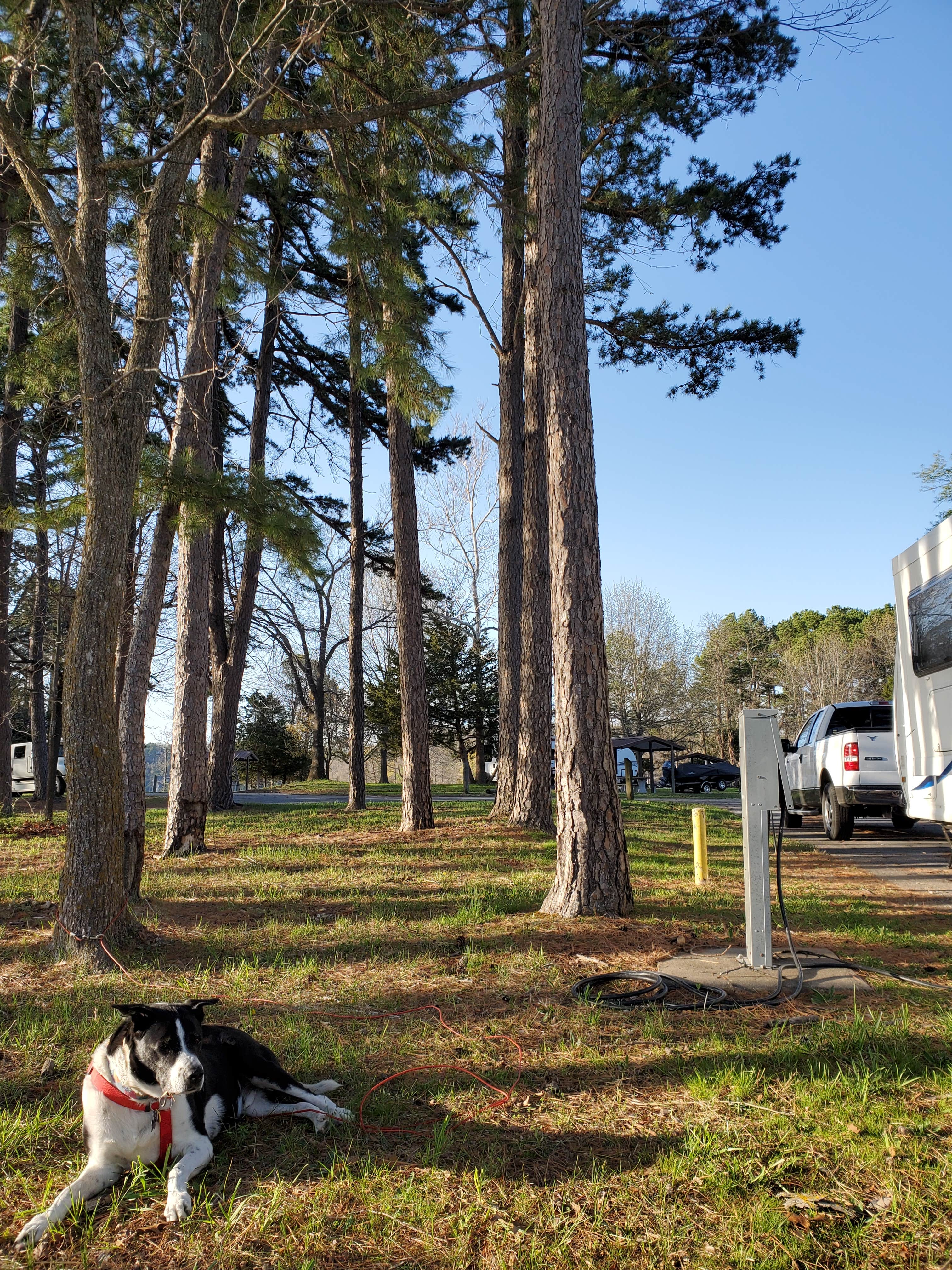 Ty S.'s photo of camping with pets at Horseshoe Bend Rec Area & Campground near Siloam Springs, AR