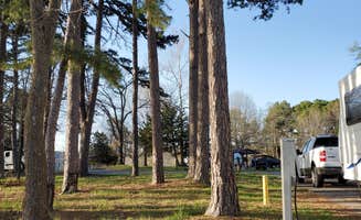 Ty S.'s photo of camping with pets at Horseshoe Bend Rec Area & Campground near Greenland, AR