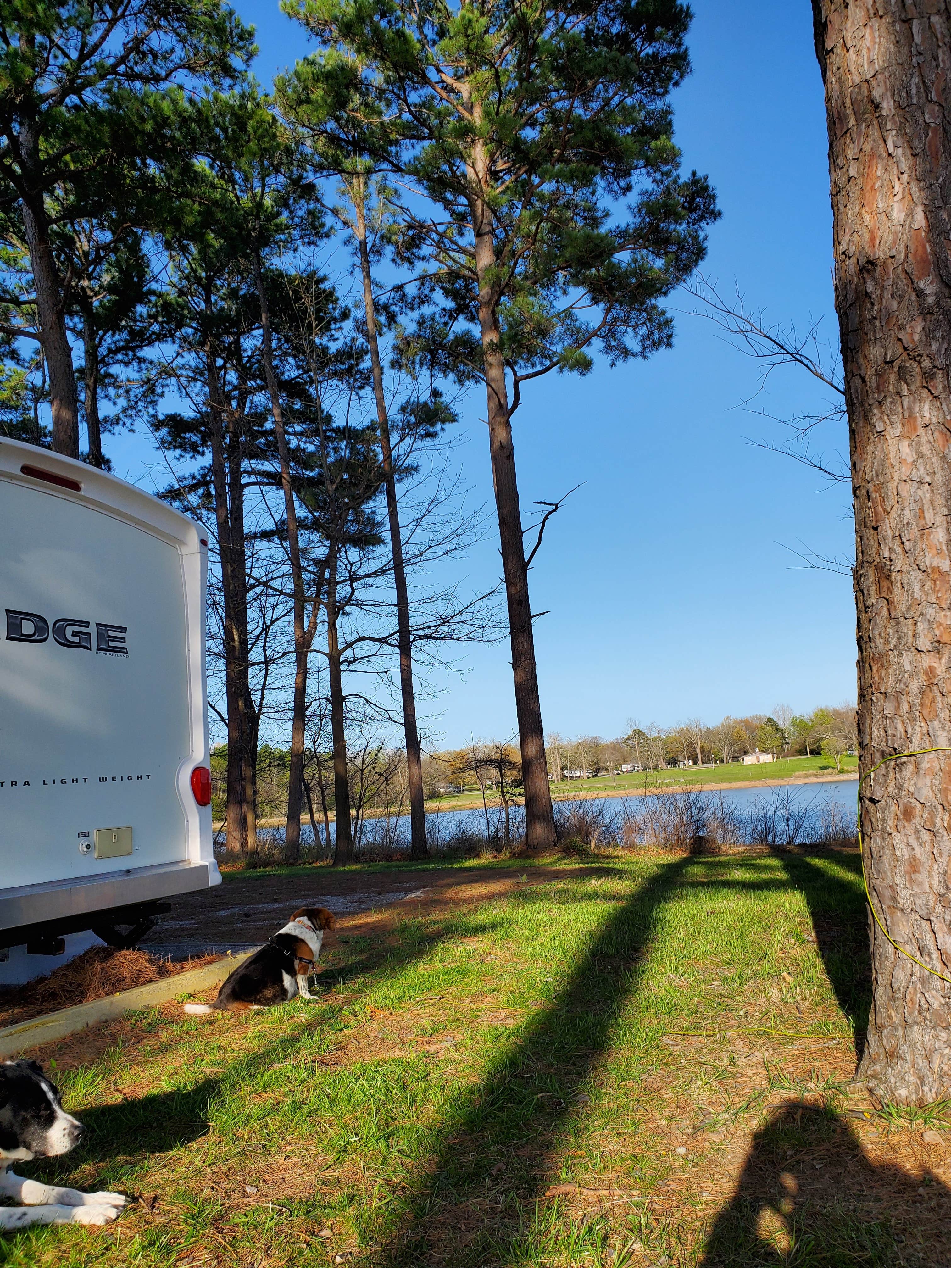 Ty S.'s photo of camping with pets at Horseshoe Bend Rec Area & Campground near Cave Springs, AR