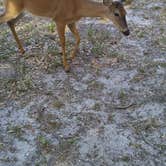 Review photo of Moss Park Campground by Jenny K., July 12, 2018