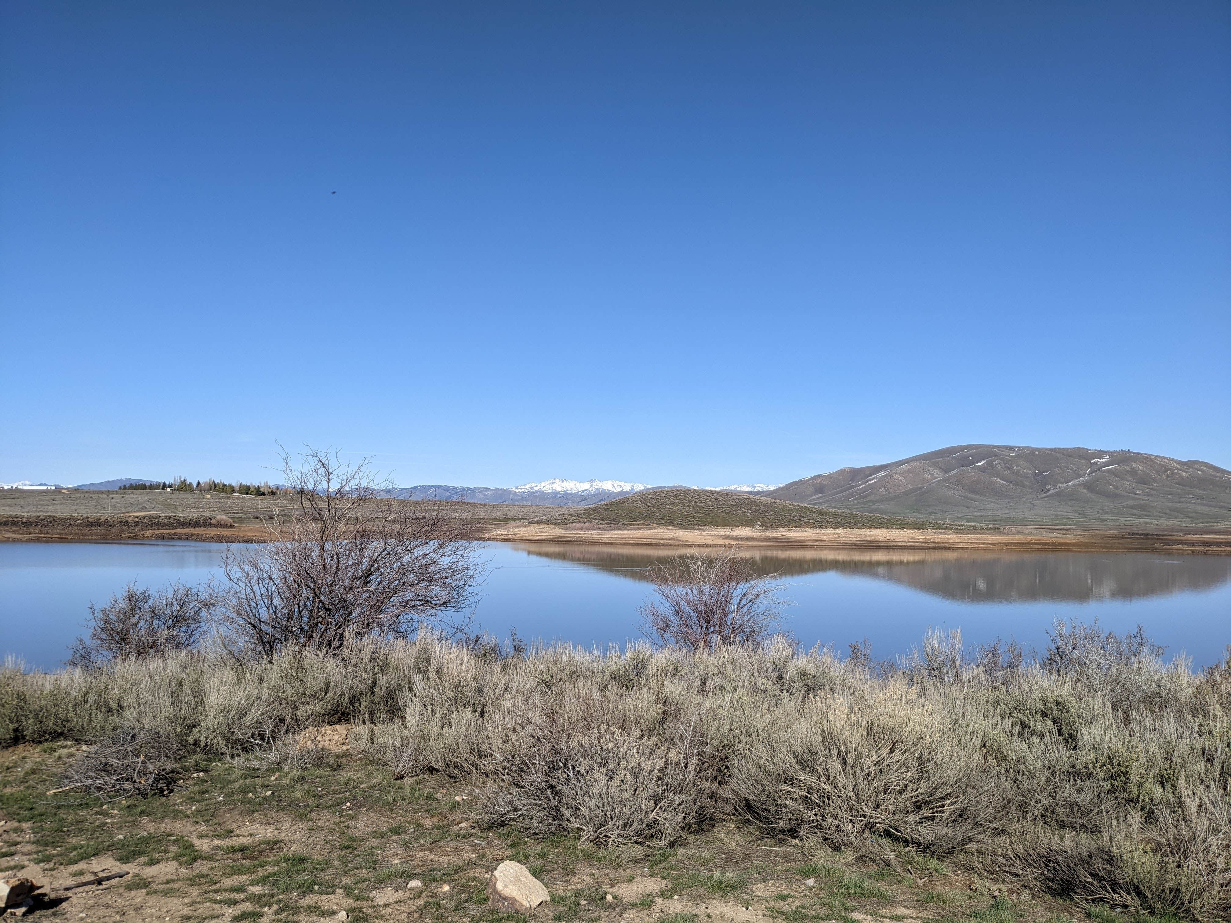 Amber R.'s photo of a dispersed camping area at Little Camas Reservoir near Corral, ID