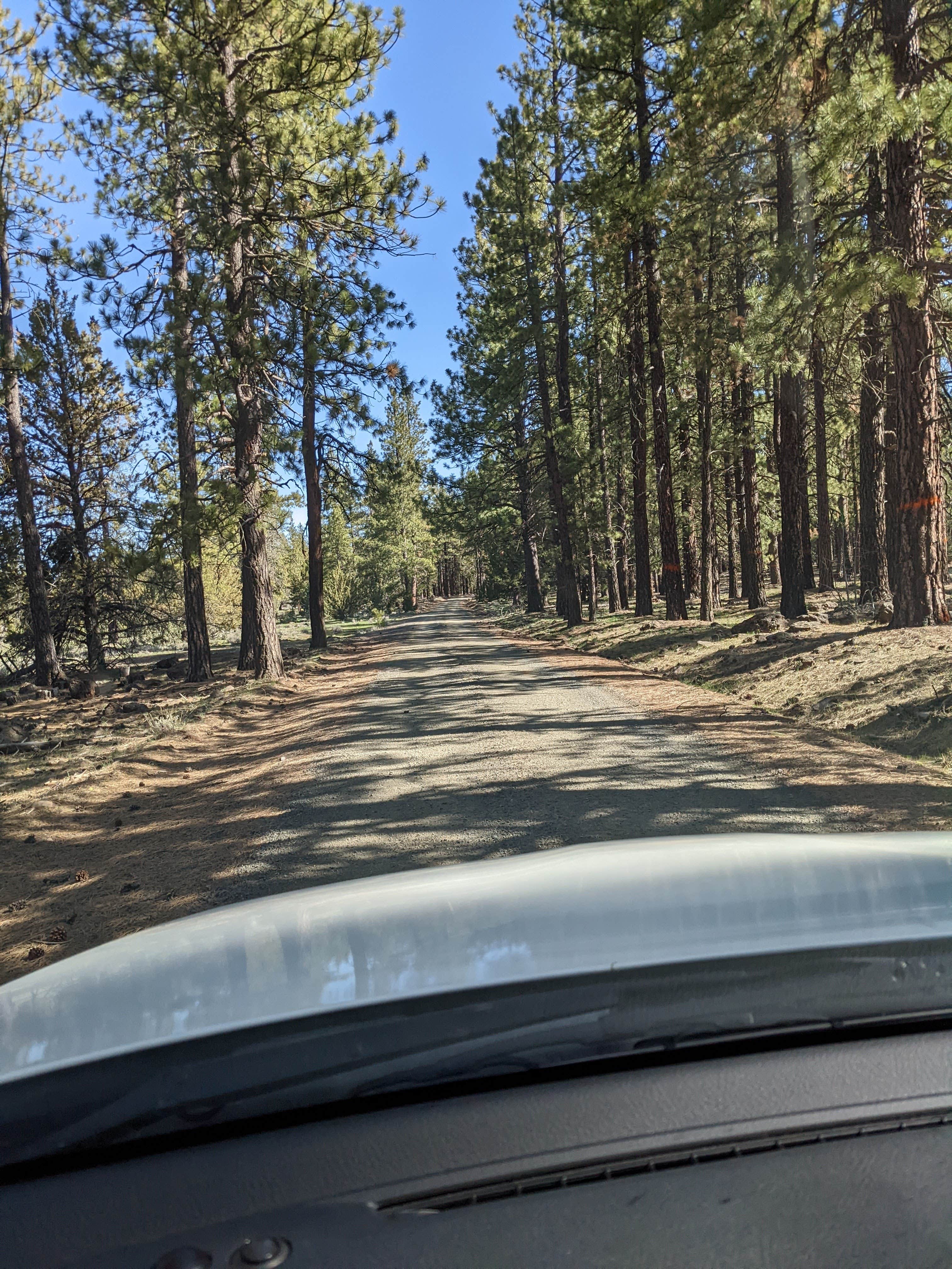 Camper-submitted photo at Lassen Creek Campground near Adel, OR