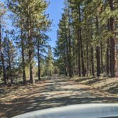 Review photo of Lassen Creek Campground by Amber R., April 19, 2022