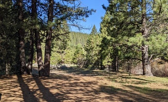 Camper-submitted photo from Lassen Creek Campground