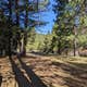 Lassen Creek Campground