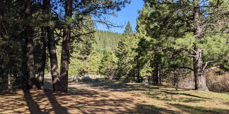 Camper submitted image from Lassen Creek Campground
