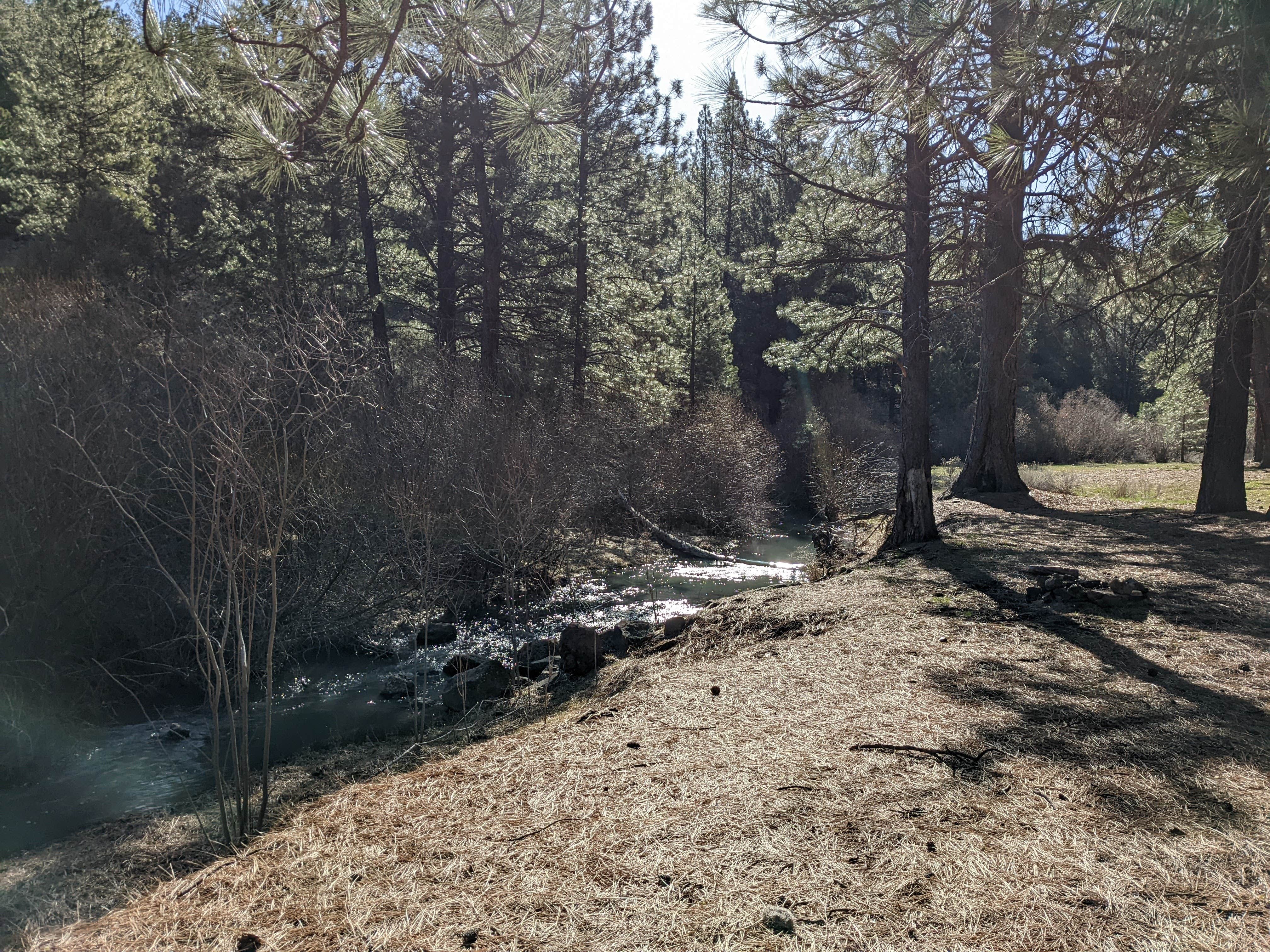 Camper-submitted photo at Lassen Creek Campground near Adel, OR