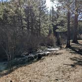 Review photo of Lassen Creek Campground by Amber R., April 19, 2022