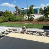 Review photo of Camp Margaritaville RV Resort and Cabana Cabins Auburndale by Amanda W., April 20, 2022