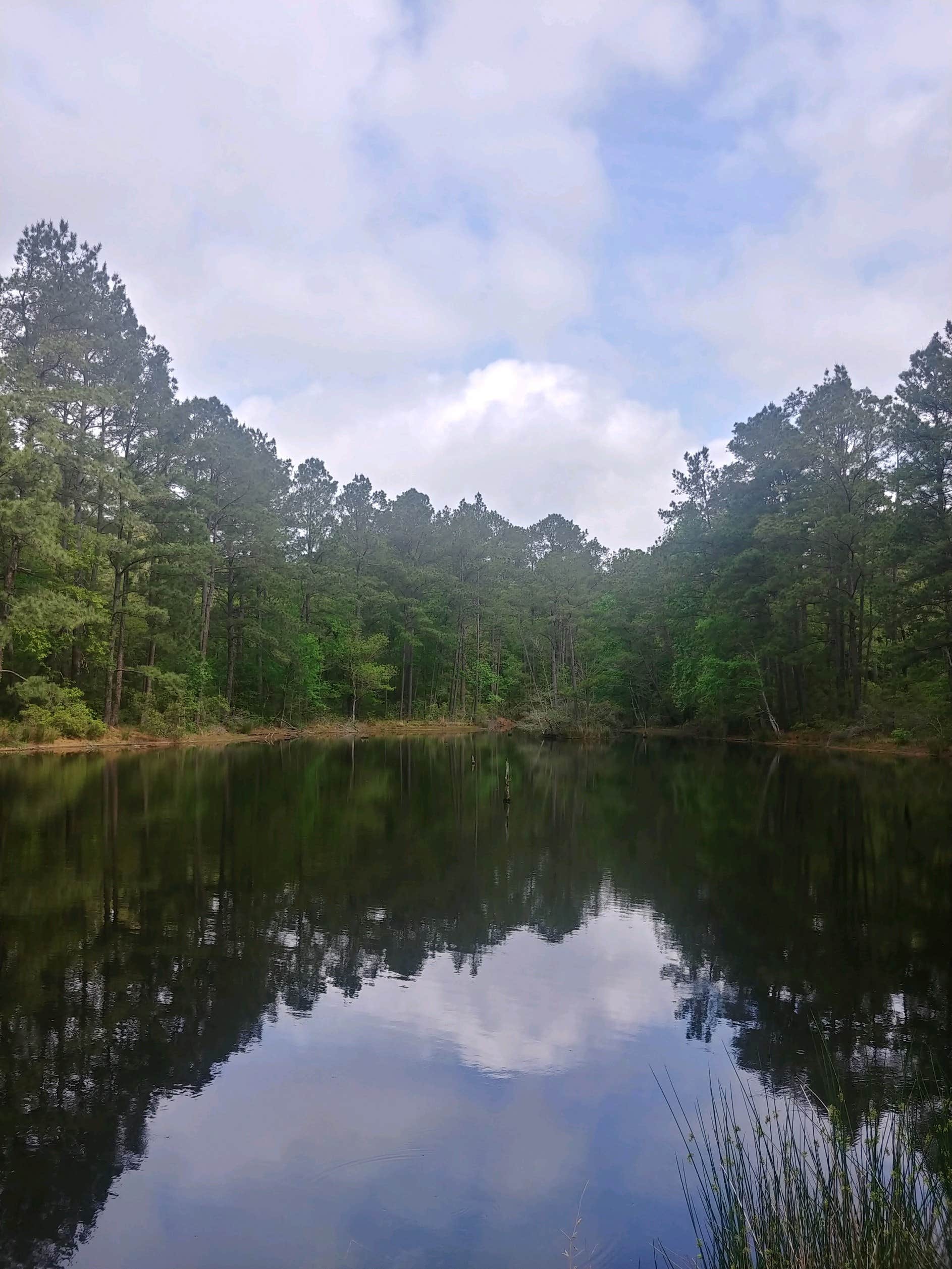 Camper-submitted photo at Lake Niederhoffer Campsite near Hufsmith, TX