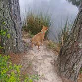 Review photo of Lake Niederhoffer Campsite by Bear T., April 20, 2022