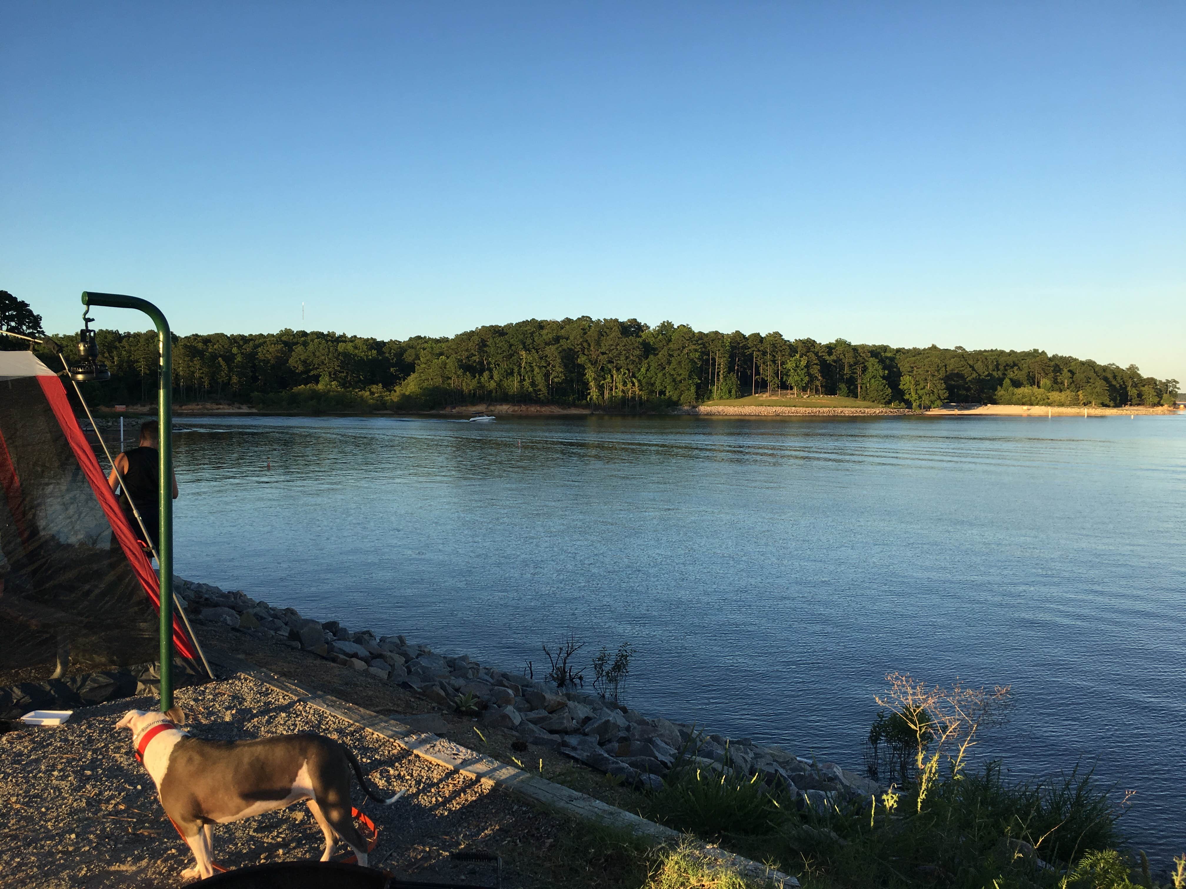 Mike R.'s photo of camping with pets at North Bend Park near Hampden-Sydney, VA