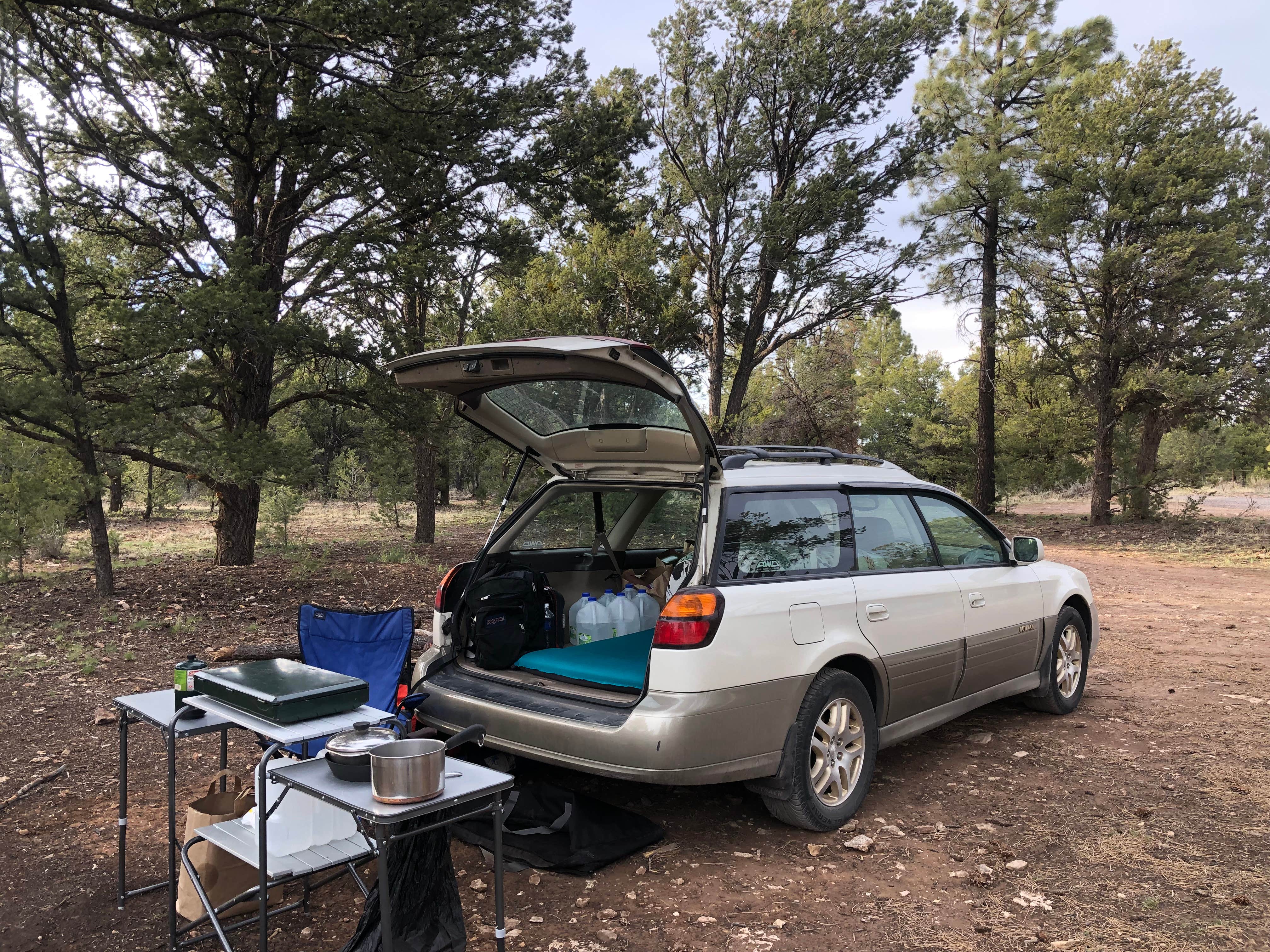 Evan's photo at Forest Service Road 328 Dispersed in Arizona