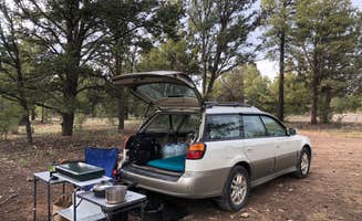 Evan's photo at Forest Service Road 328 Dispersed in Arizona