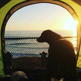 Review photo of South Carlsbad State Beach Campground by Morgan D., July 12, 2018