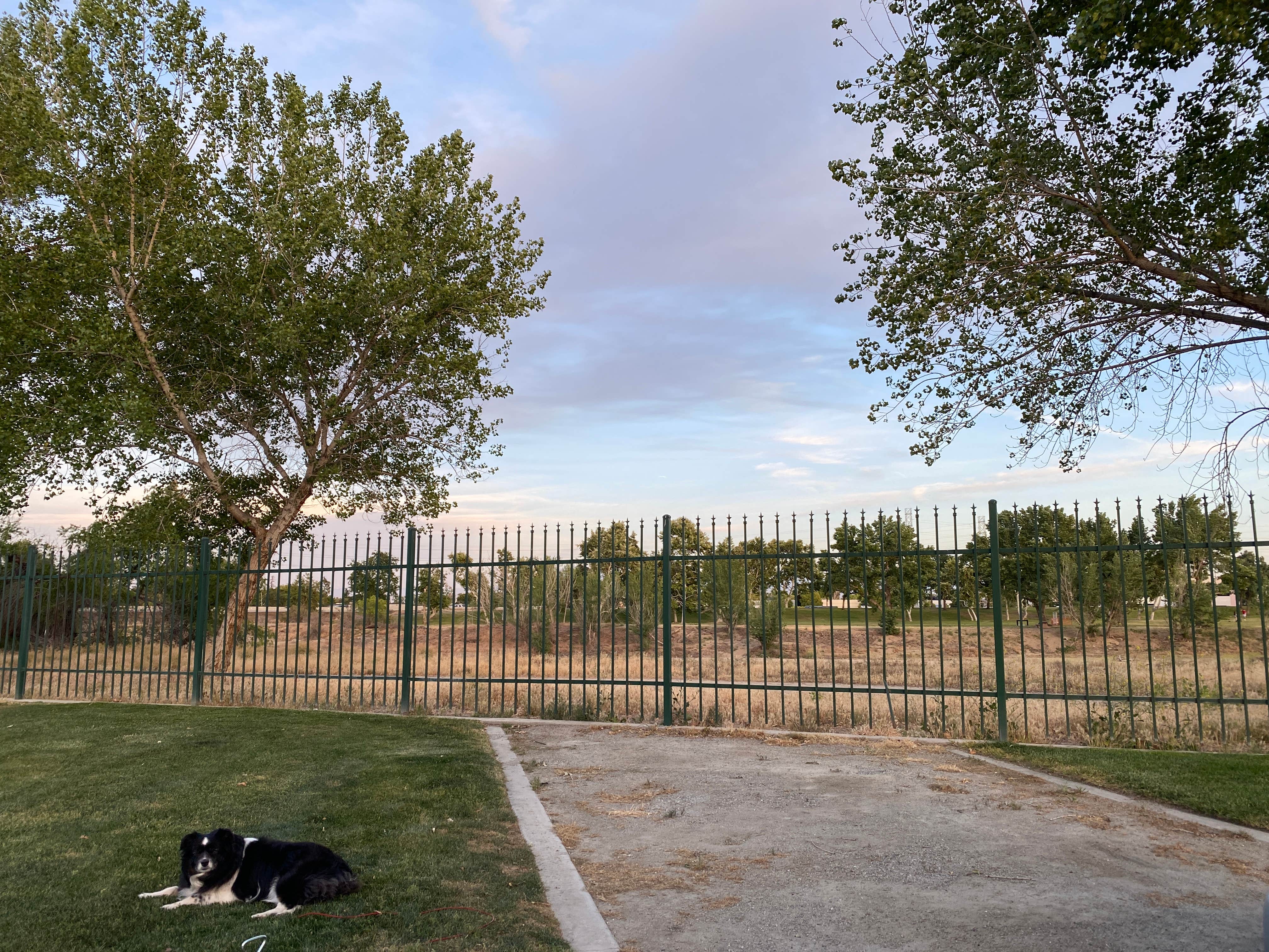 Tim G.'s photo of camping with pets at Bakersfield River Run RV Park near Bakersfield, CA