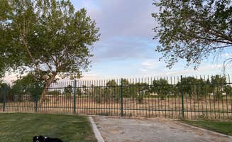 Tim G.'s photo of camping with pets at Bakersfield River Run RV Park near Greenfield, CA