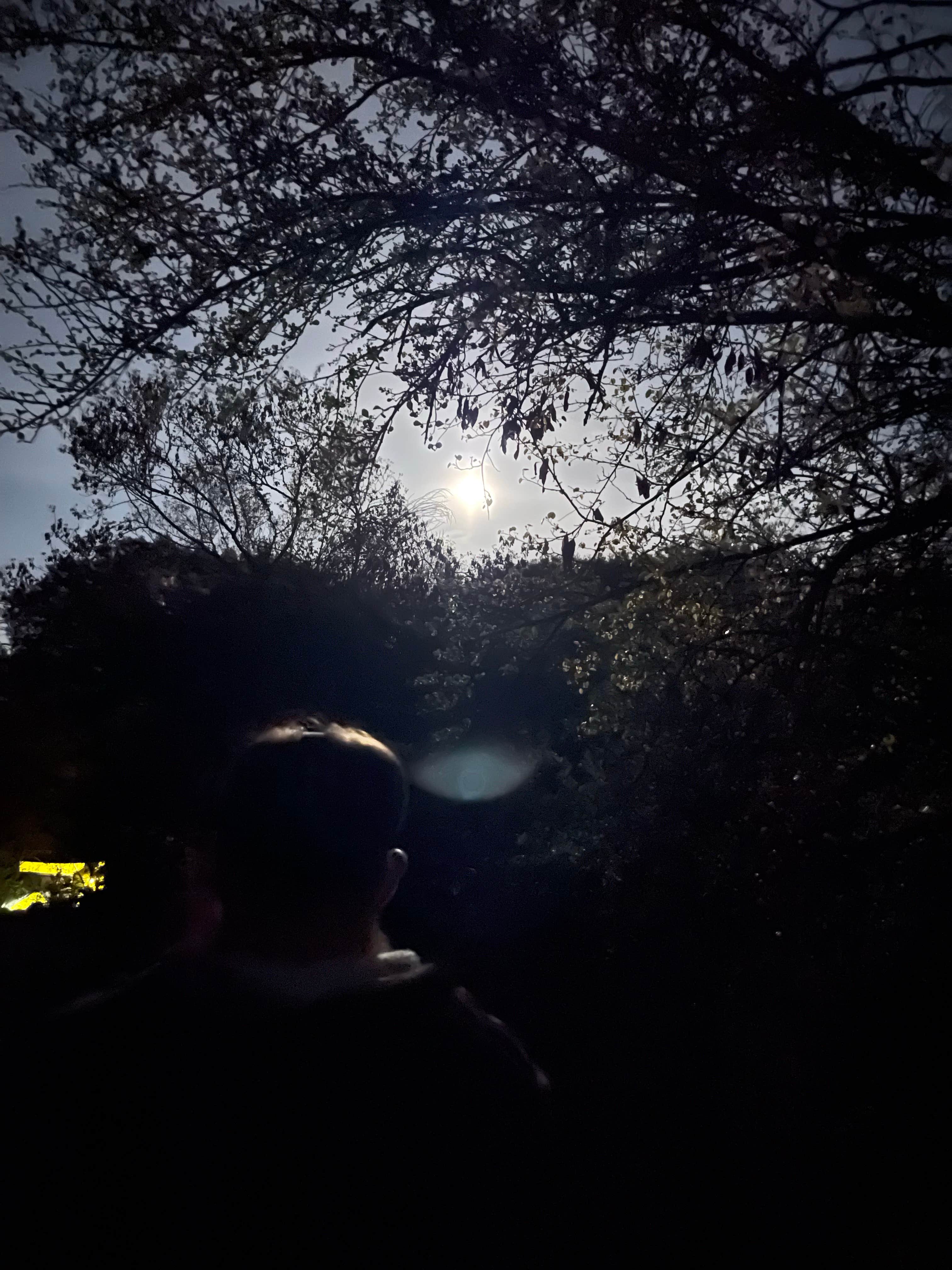 Camper-submitted photo at South Fork Campground Mendocino National Forest — Mendocino National Forest near Stonyford, CA