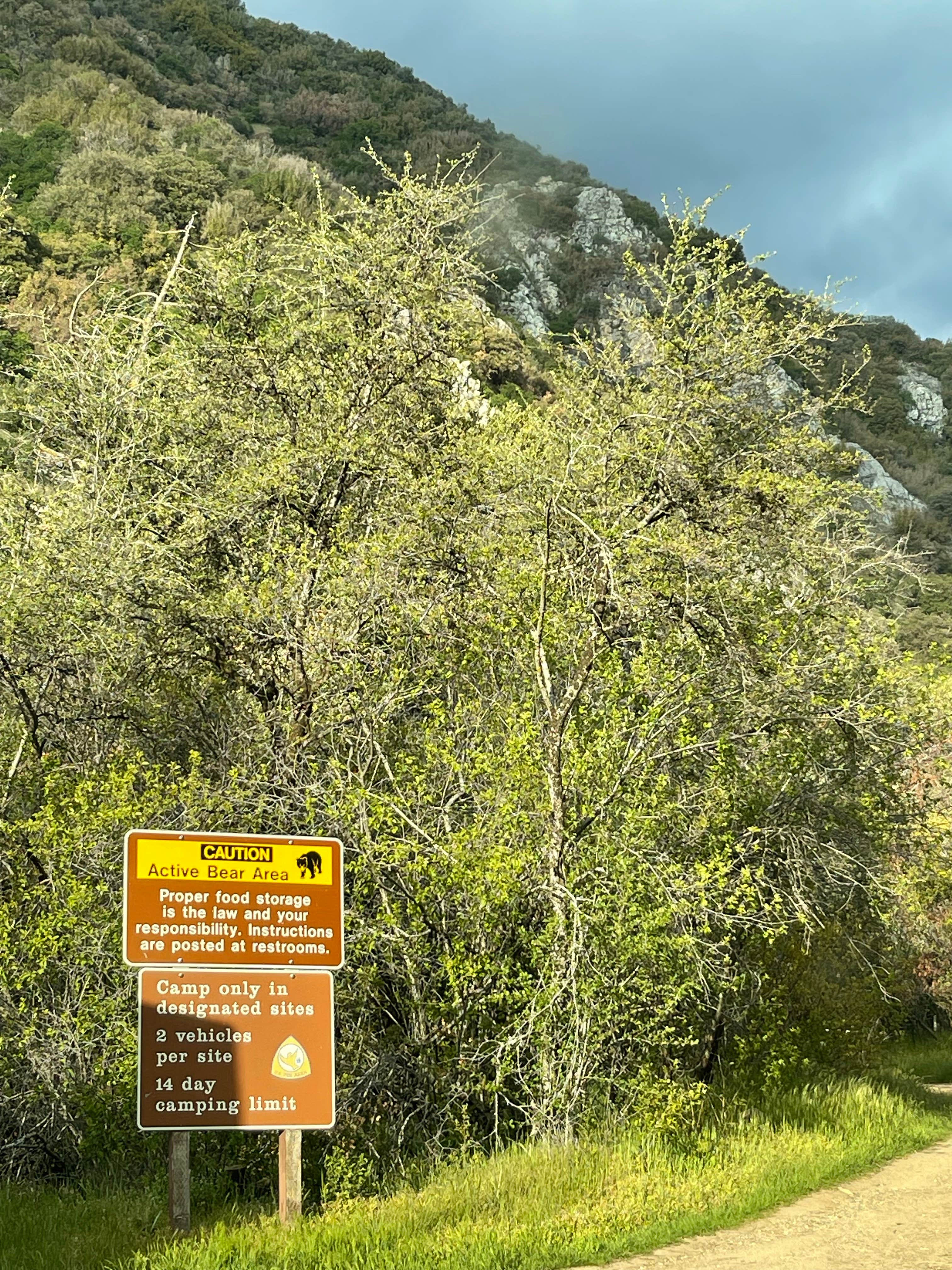 Camper submitted image from South Fork Campground Mendocino National Forest — Mendocino National Forest - 5