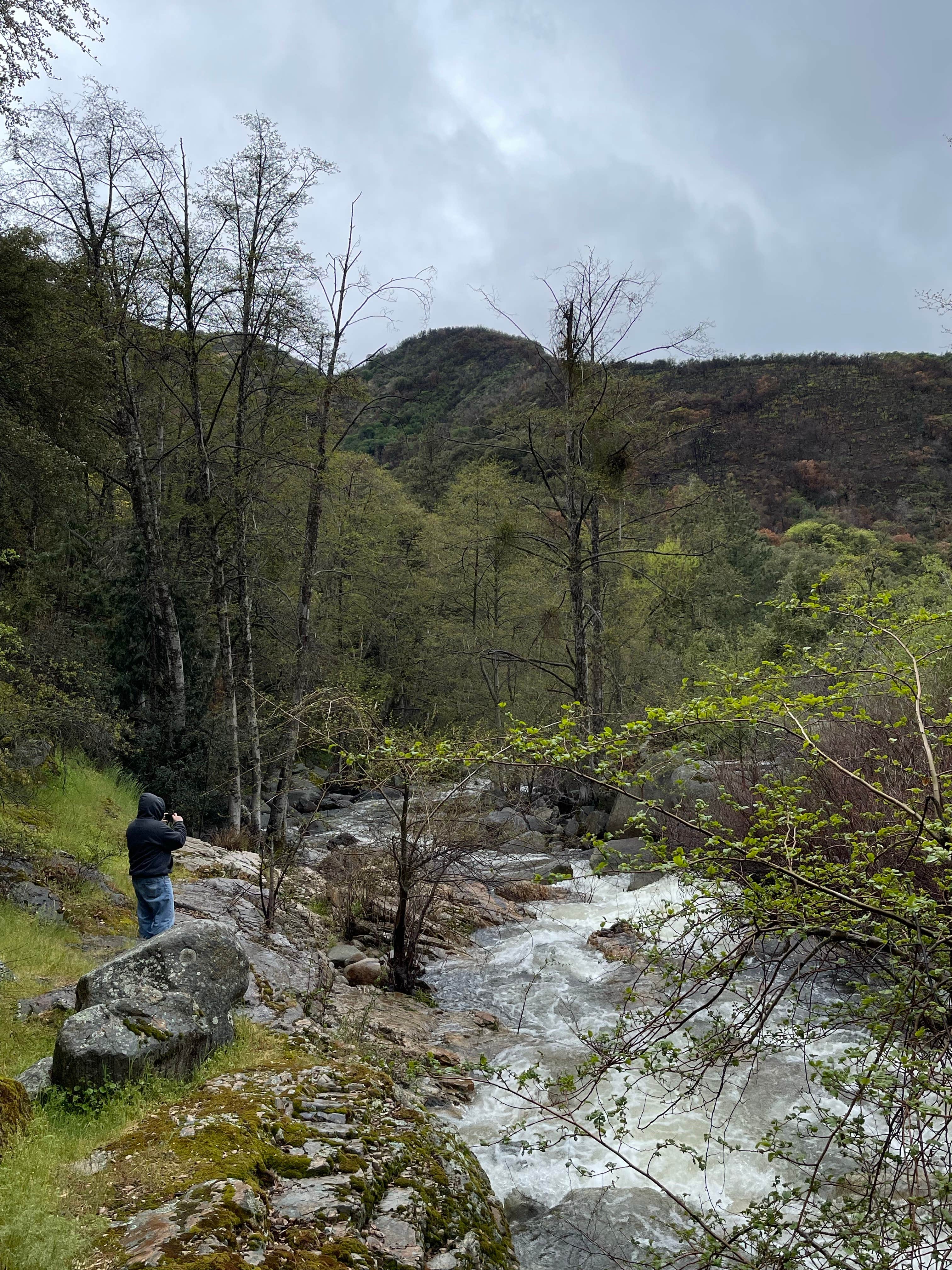 Camper-submitted photo at South Fork Campground Mendocino National Forest — Mendocino National Forest near Stonyford, CA