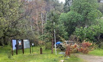 Camping near Main Letts: South Fork Campground, Stonyford, California